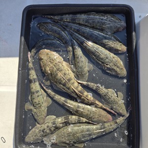 20251130_124108_コピー