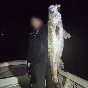 20251130_180751_コピー