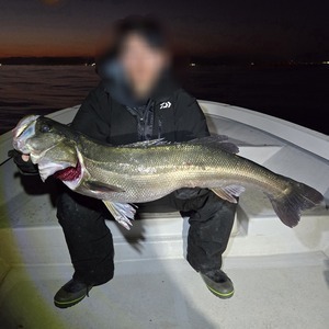 20251130_172314_コピー