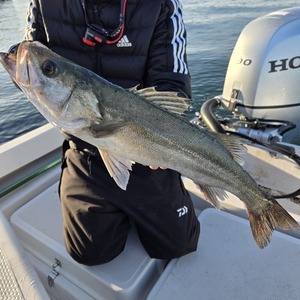 20251130_151347_コピー