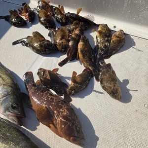 20251201_112844_コピー