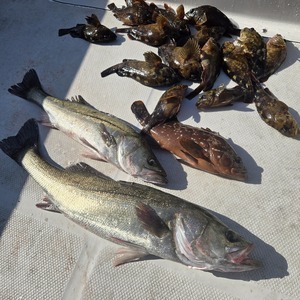 20251201_112832_コピー