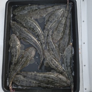 20251204_165614_コピー