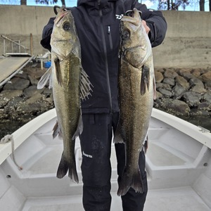 20251205_111027(0)_コピー