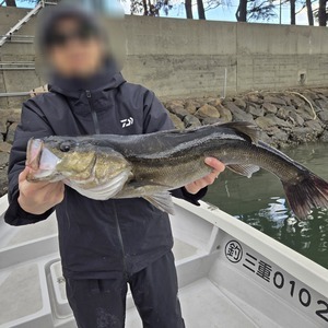 20251205_110808_コピー