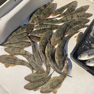 20251206_123922_コピー