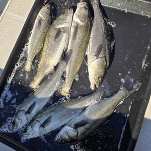 20251206_123339_コピー