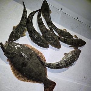 20251206_175008_コピー