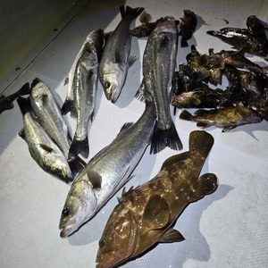 20251206_230544_コピー