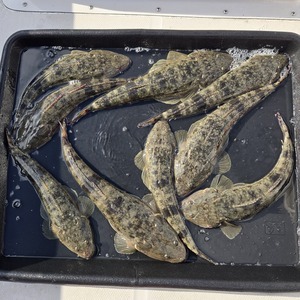 20251207_123615_コピー