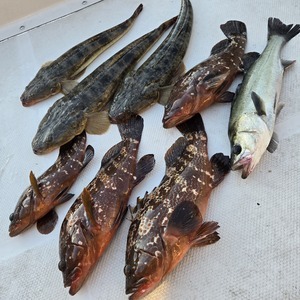 20251209_160309_コピー