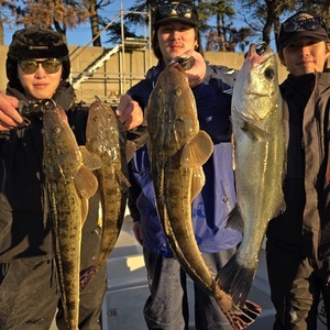 20251209_160144_コピー