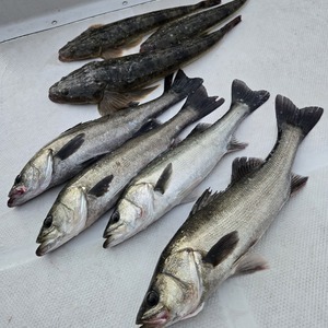 20251211_164847_コピー