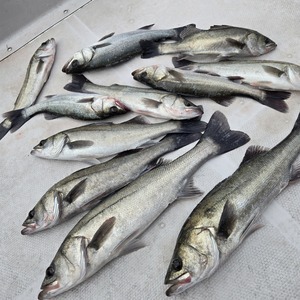 20251213_110616_コピー