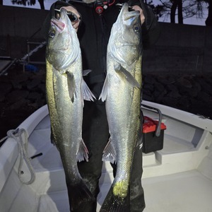 20251213_165902_コピー