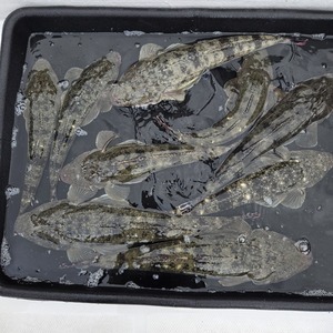 20251214_125232_コピー