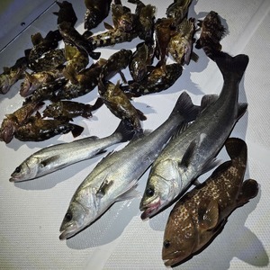 20251216_204200_コピー