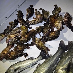 20251216_204154_コピー