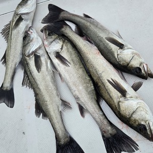 20251219_162759_コピー