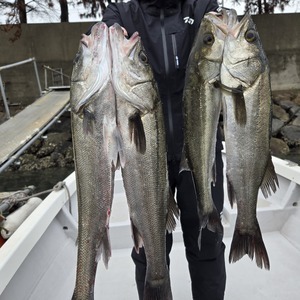 20251220_120459_コピー