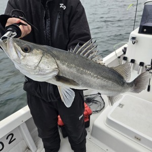 20251221_160850_コピー