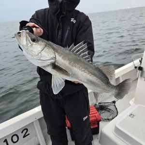 20251221_160846_コピー