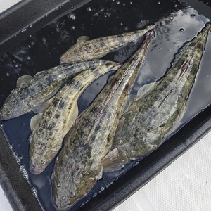 20251223_123111_コピー