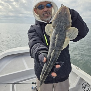 20251223_115407_コピー