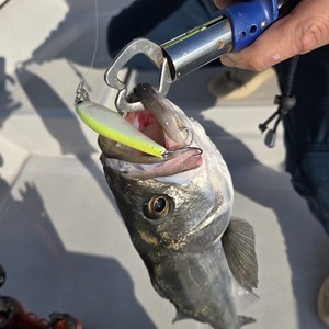 20251223_140007_コピー