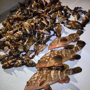 20251226_180814_コピー