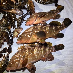 20251226_180748_コピー