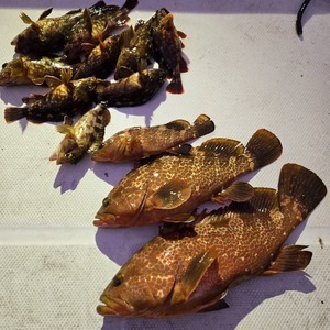 20251227_064533_コピー