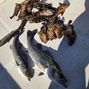 20251228_104137_コピー