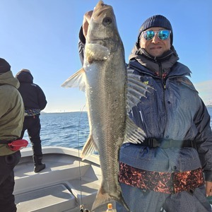 20251228_092556_コピー