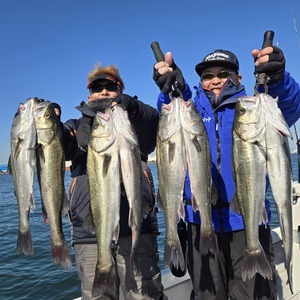 20251229_113400_コピー