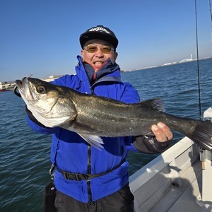 20251229_113100_コピー