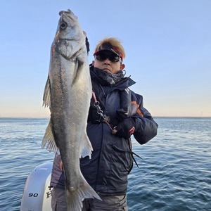 20251229_080712_コピー