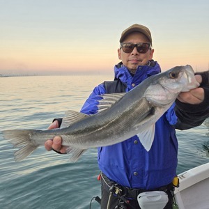 20251229_164152_コピー