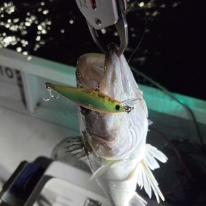 20251230_202303_コピー