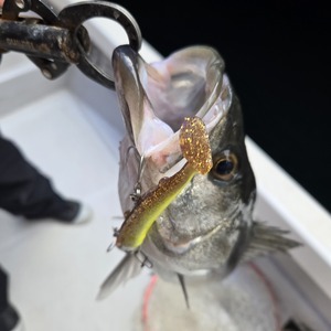 20260104_132156_コピー