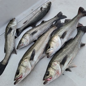 20260107_170506_コピー