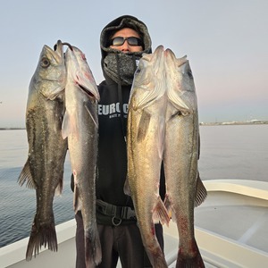 20260107_170357_コピー