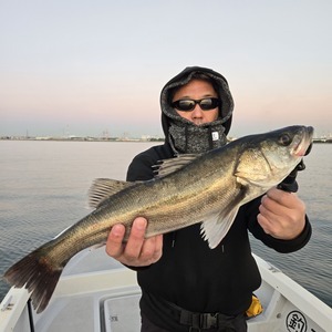 20260107_170103_コピー