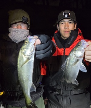 20260117_233149_コピー