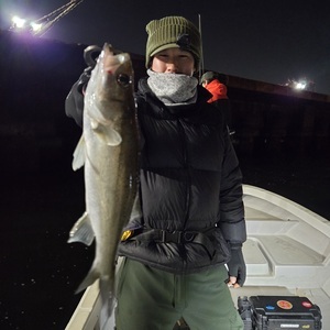 20260117_202144_コピー