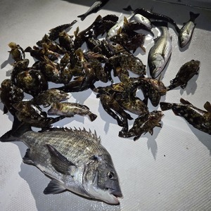 20260122_223854_コピー