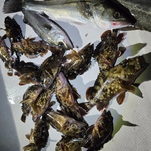 20260125_052952_コピー