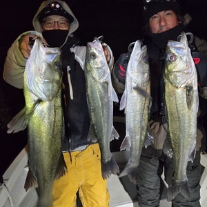 20260125_052641_コピー