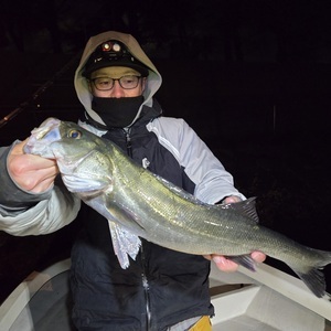 20260125_052400_コピー