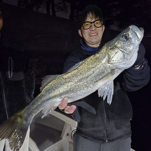 20260201_030839_コピー